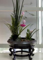 3.8妇女节插花活动